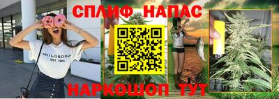 МДПВ Обь